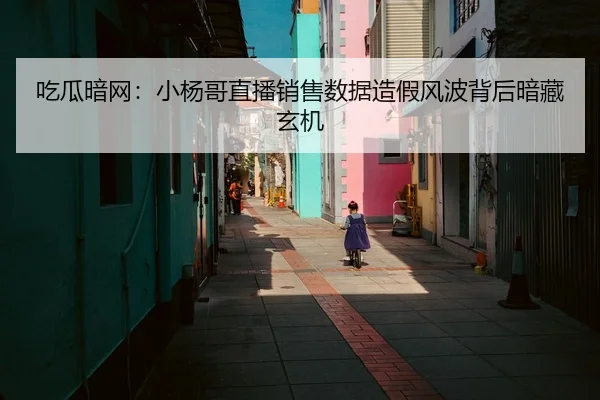 chi-gua-an-wang-xiao-yang-ge-zhi-bo-xiao-shou-shu-ju-zao-jia-feng-bo-bei-hou-an-cang-xuan-ji-2-300.jpg